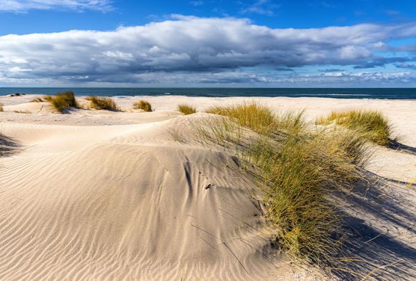 Ostseestrand, Blick von Sanddünen mit einigen Strandgrasbüscheln über den Strand hin zum Meer. Wolkiger blauer Himmel, Sonnenschein